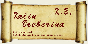 Kalin Breberina vizit kartica